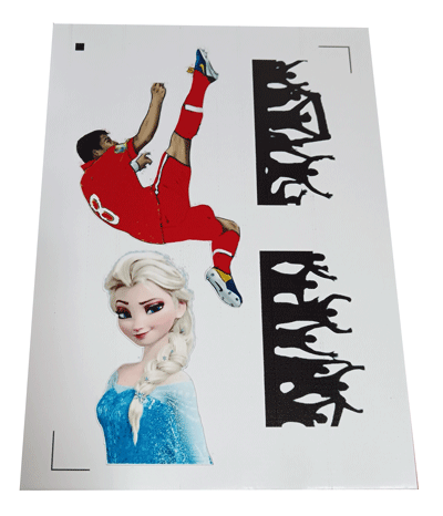 Description of image1